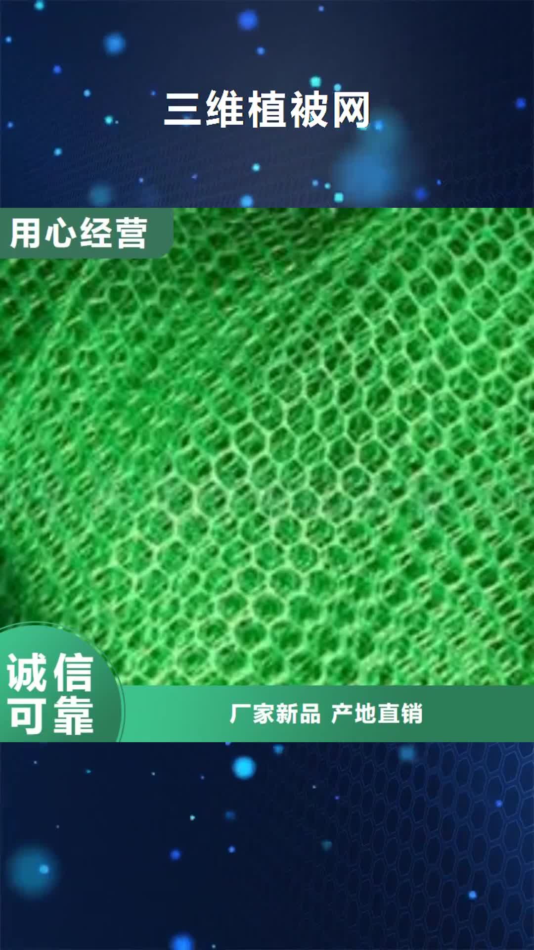 荆州【三维植被网】双向塑料格栅 厂家直接面向客户