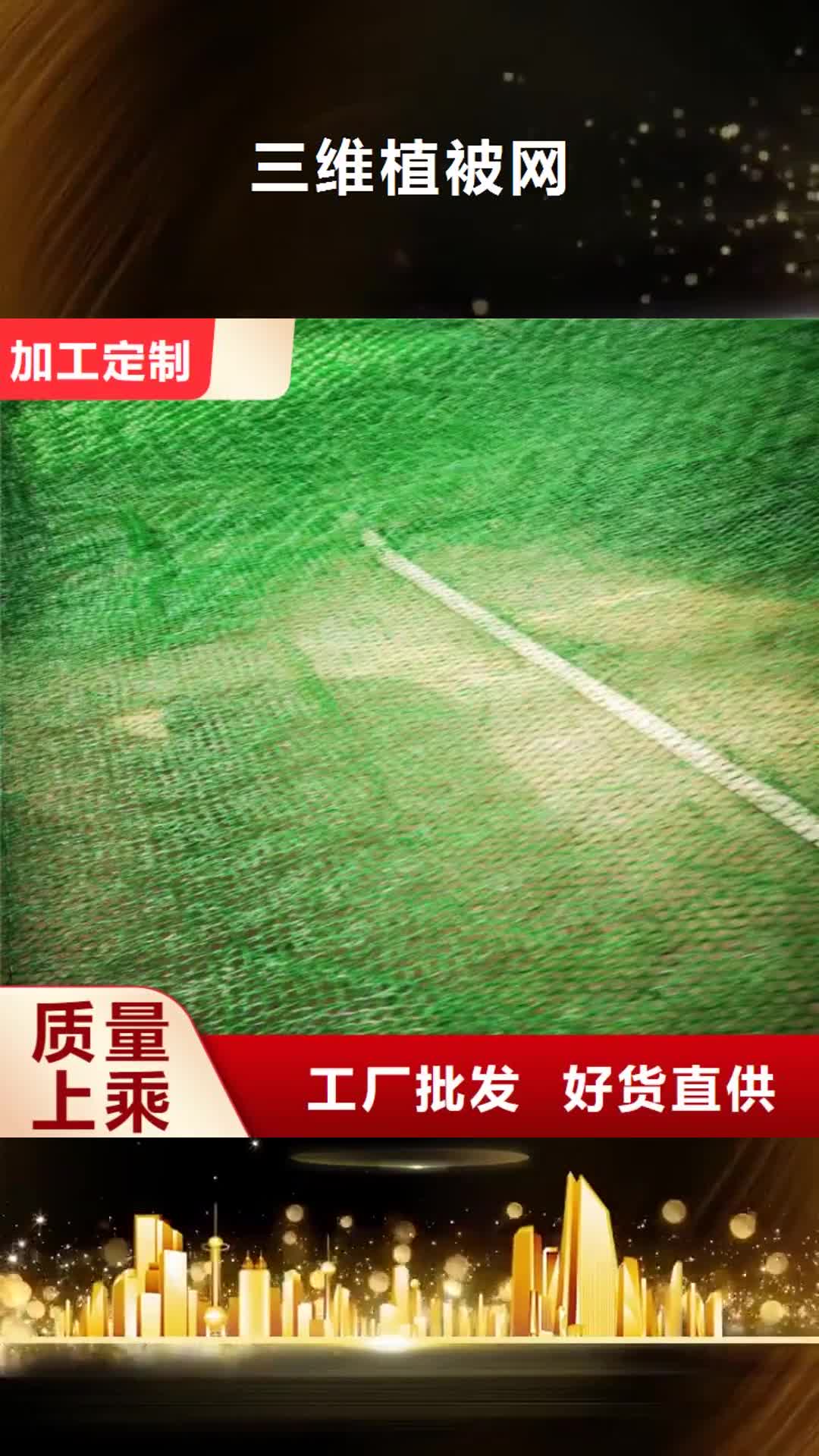 惠州 三维植被网-【土工膜】选择大厂家省事省心