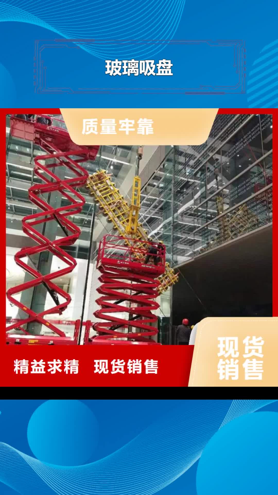 台湾【玻璃吸盘】_传菜升降机电梯颜色尺寸款式定制