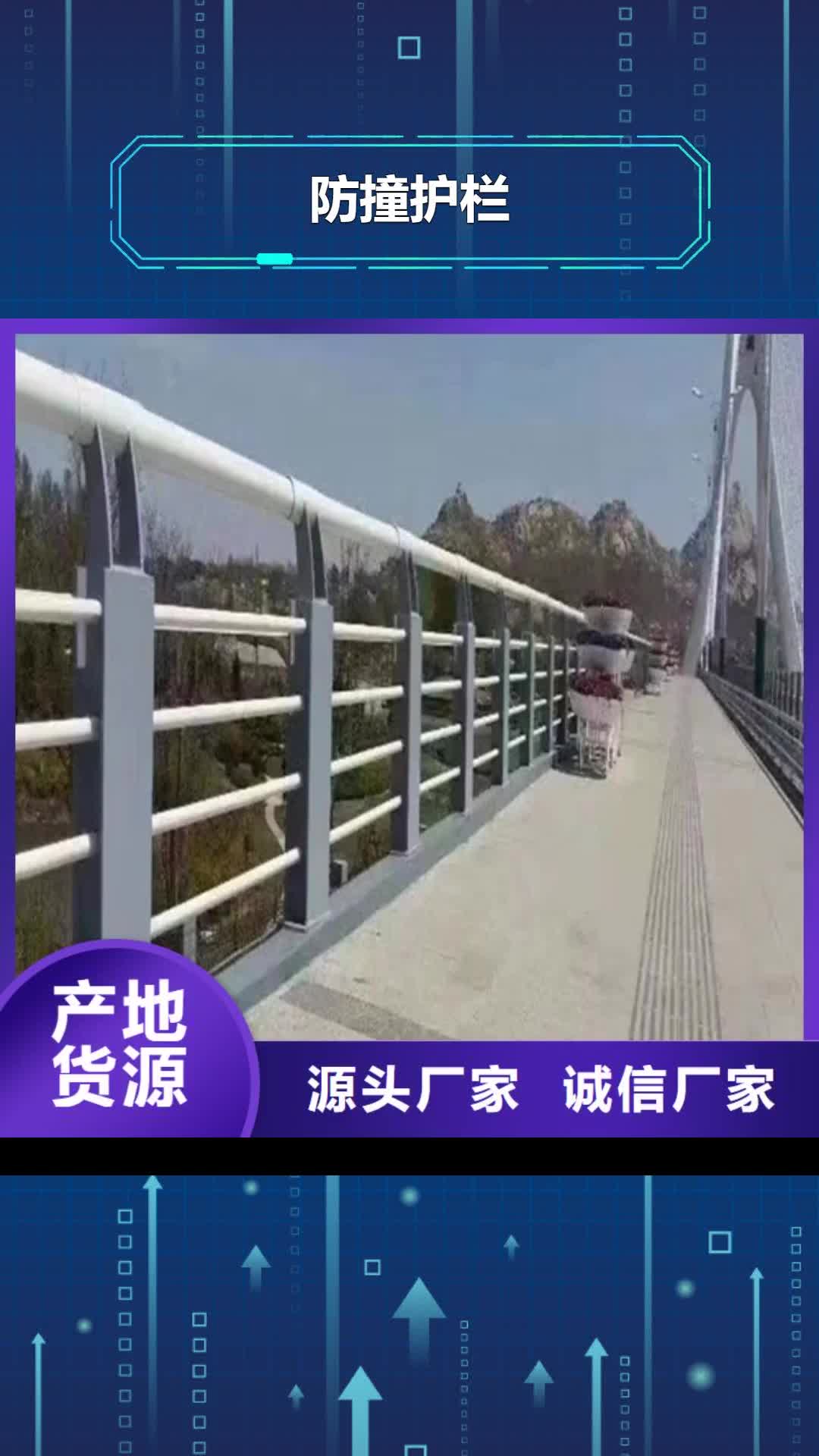 雅安 防撞护栏无中间商厂家直销